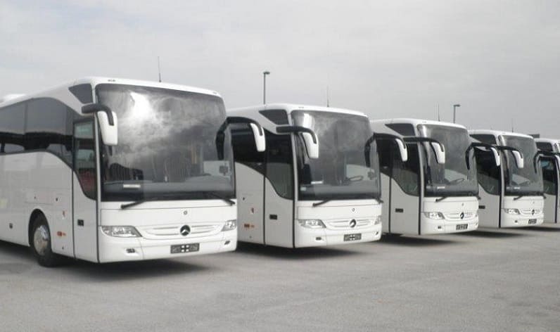 Trentino-Alto Adige/Südtirol: Bus company in Merano in Merano and Italy